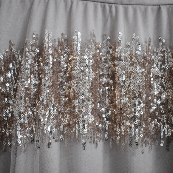 Anthropologie Eva Franco Revelry Skirt Sequin - Picture 6 of 6